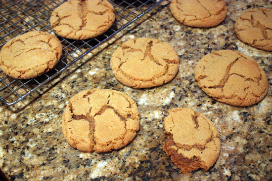 ginger-snap-cookie-2