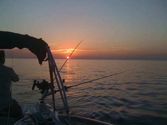 Fish-sunset