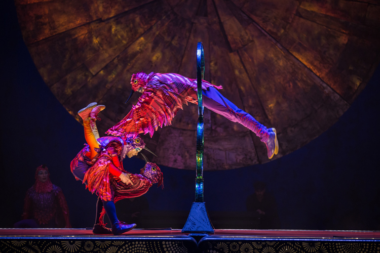 Cirque-Hops-Luzia-Ticket-deal