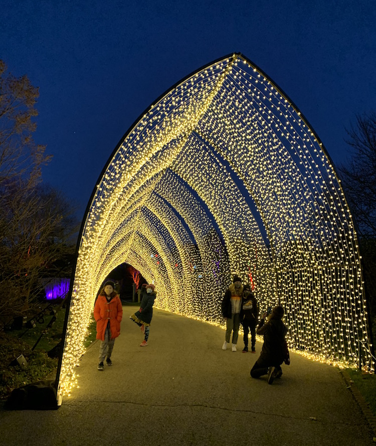 Chicago Botanic Garden Lightscape - Lightscape Exhibit Held At Chicago